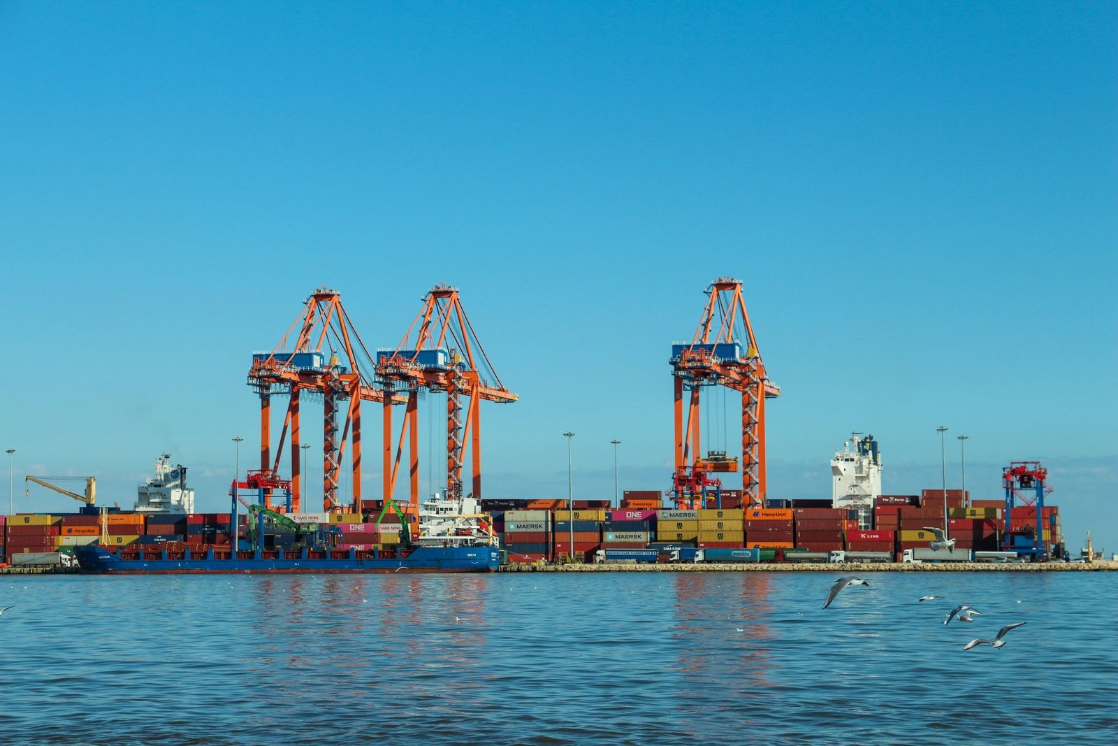 Container port with cargo cranes loading ships